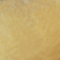 Мех искусственный, коротковорсовый  в Екатеринбурге