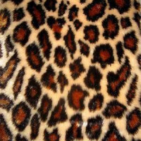 Мех искусственный, коротковорсовый  в Екатеринбурге