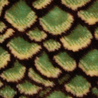 Мех искусственный, коротковорсовый  в Екатеринбурге